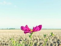 《so 深度》的句子