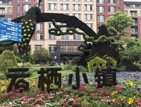 你的小世界