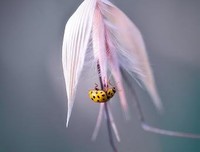 关于文章《 心痛 的瞬间》