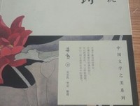 蒋勋说红楼梦（第八辑）读后感10篇