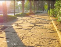 时光里的欧洲读后感10篇