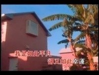 生命中的每一天