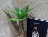 有关畅所欲言的美句摘抄