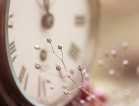 最新的《大宋的智慧》语录摘抄
