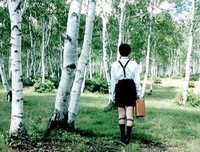 《世纪末暑假》的影评10篇