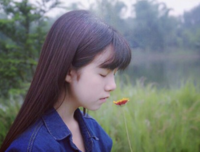 堇年句子