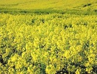 深度好文|无论男人还是女人都应该知道