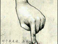 关于小凡的格言