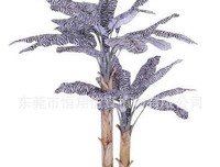 《塑料树》经典观后感10篇