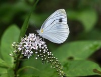 《黄河之旅》的读后感10篇