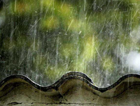 《下雨了》的句子