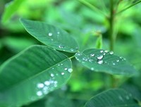 千春的语句摘抄_关于千春的语句