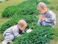我就是那年挎着邮差包的你帅哥