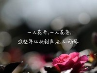 唯美语录