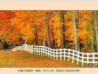 年华老去