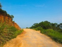 在乡间的路上