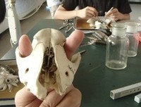 我的歧途