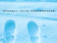 鸡汤优美的句子