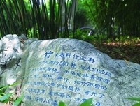 摘录名句欣赏