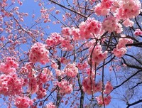 描写月生的经典句子