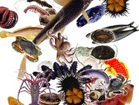 《爱这个世界》读后感10篇