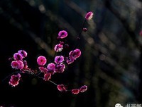 内心说的句子