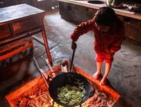 洗衣做饭种地