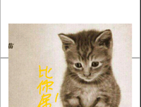 忆之殇乐的名言