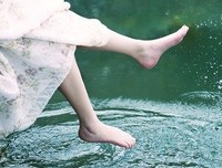 邂逅相遇，适我愿兮