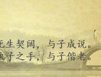 有关在里样国的句子