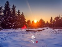人生感悟的优美句子