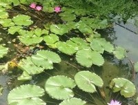 《电影遇见书》读后感精选10篇