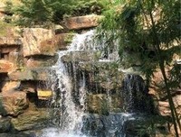 江月照君来的读后感10篇