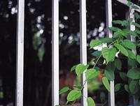 《夺面解码》经典观后感集