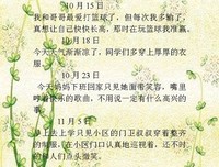 每日一语