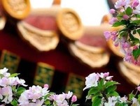 我心中的人性句子