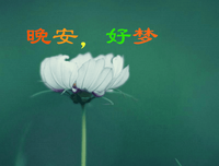 有关我和对在成的地要而的句子
