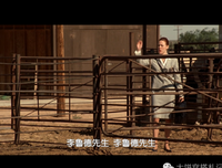 最全的《“白骨精”养成记》经典句子
