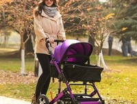 最经典的《为安格的雪样年华》经典语句