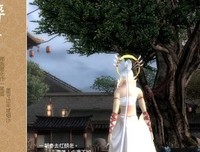 繁花的句子