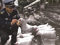 打一份工
