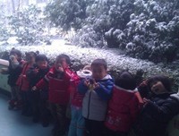 雪中句子