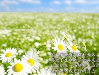  图片 经典名句