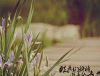 《励志，学习》的句子