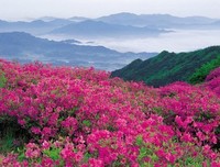 生一世，何以所求？优美的句子