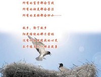 小诗