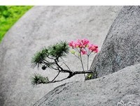 最新的益外年降措尊者名言大全