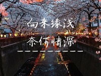 纵然情深，奈何缘浅
