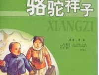  结婚 吗读后感10篇