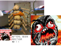 最全的赵洛伊· 打而多好然来他的名言